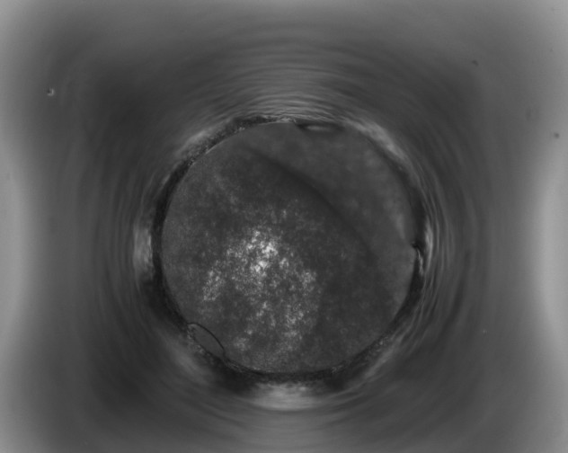 X0000086240500200704051222