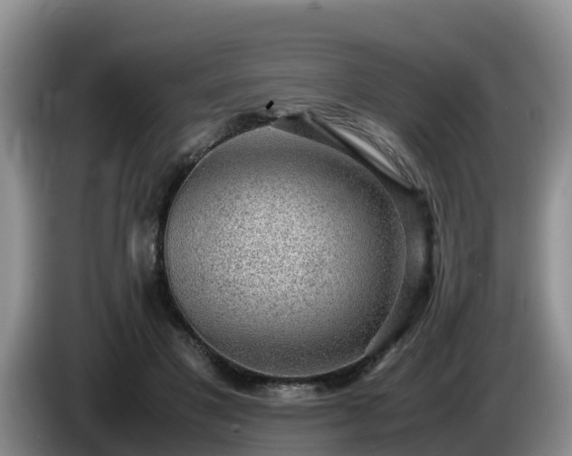 X0000086240501200704051222