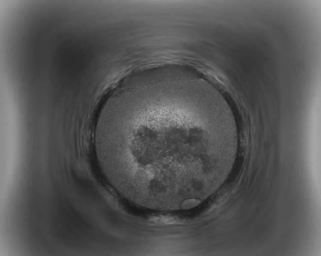 X0000086240503200704051222