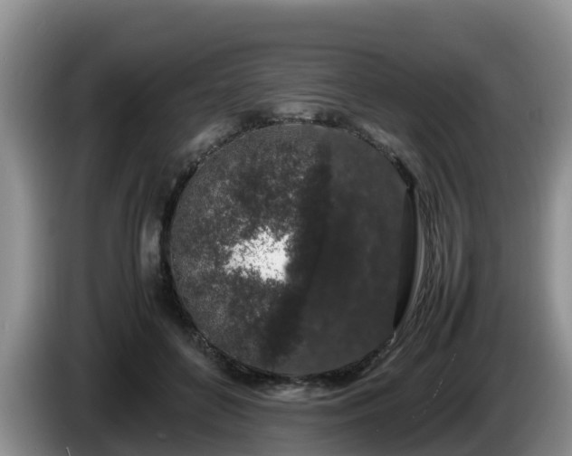X0000086240504200704051222