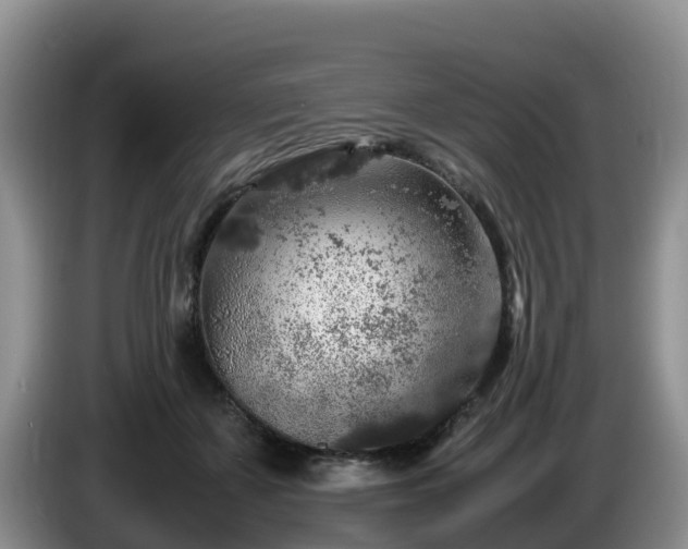 X0000086240507200704051222