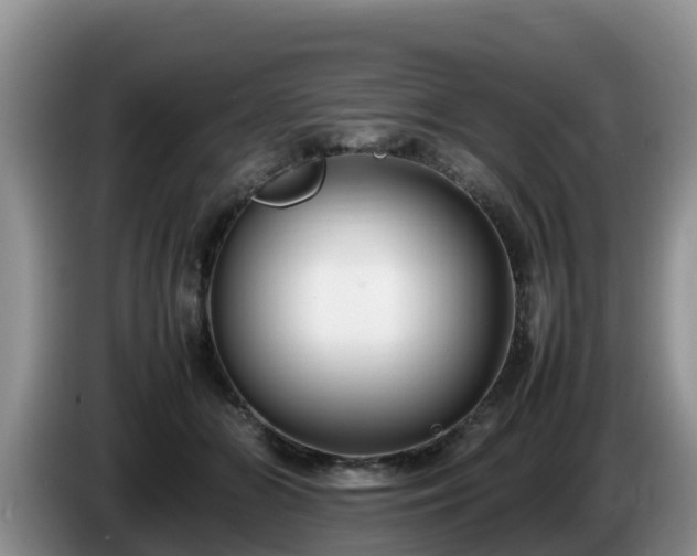X0000086240510200704051222