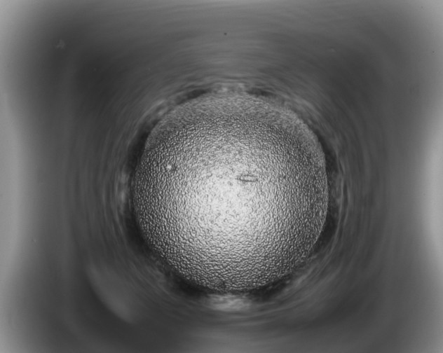 X0000086240511200704051222