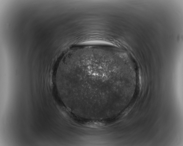 X0000086240512200704051222