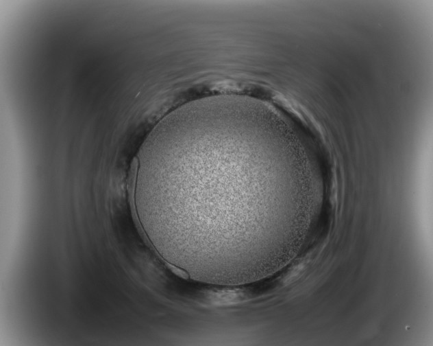 X0000086240513200704051222