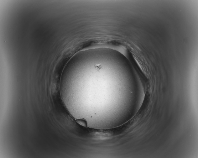 X0000086240515200704051222