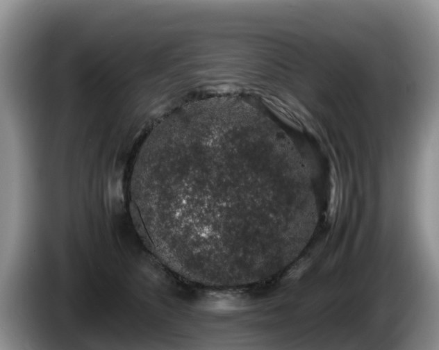 X0000086240516200704051222