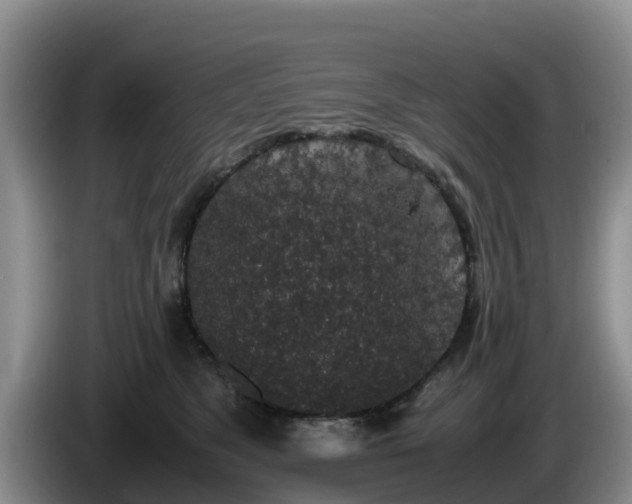 X0000086240517200704051222