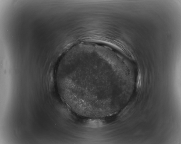 X0000086240520200704051221
