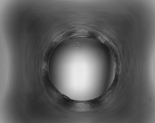 X0000086240521200704051221