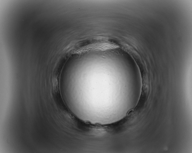 X0000086240523200704051221