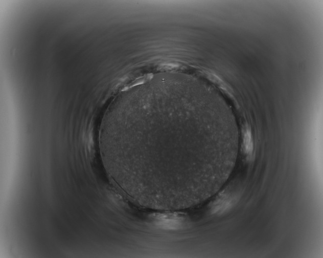 X0000086240524200704051221