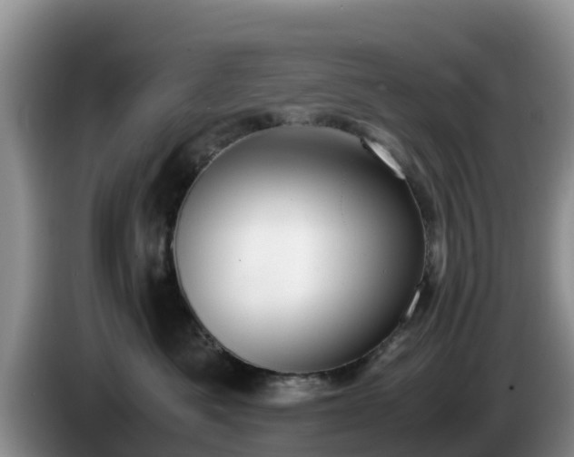 X0000086240525200704051221