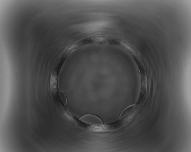 X0000086240526200704051221