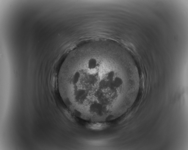 X0000086240527200704051221