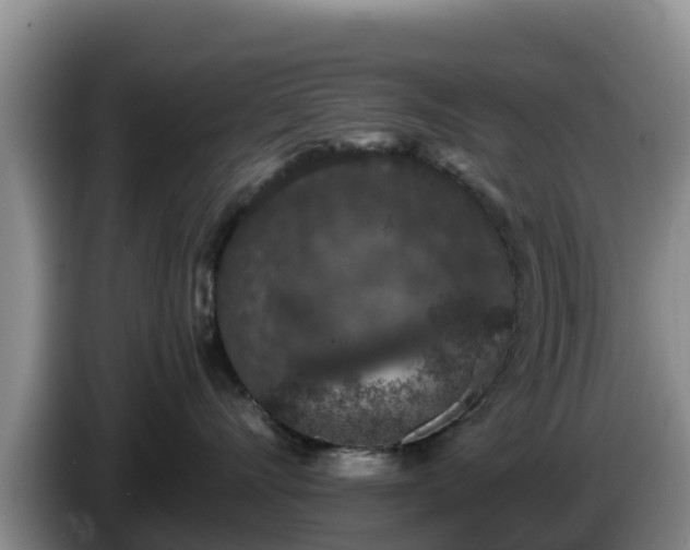 X0000086240528200704051221