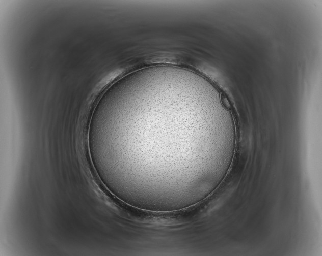X0000086240529200704051221