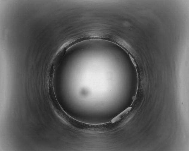 X0000086240530200704051221