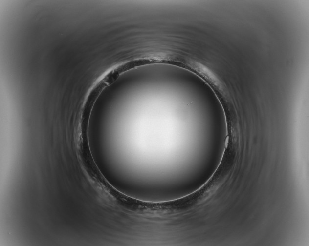 X0000086240532200704051221