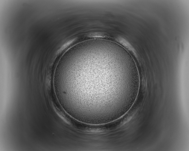 X0000086240533200704051221