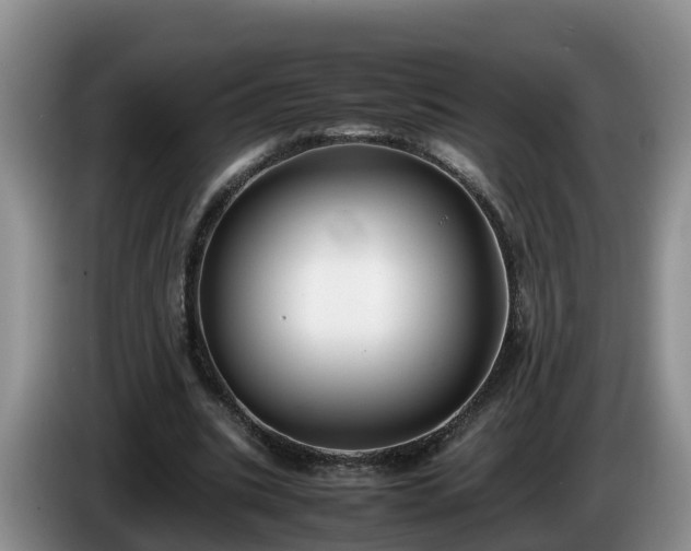 X0000086240535200704051221