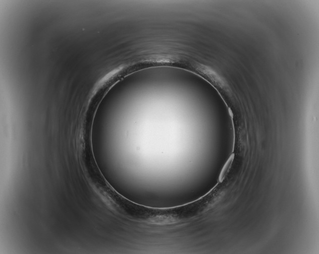 X0000086240536200704051221