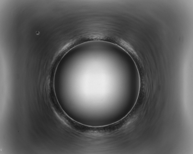 X0000086240538200704051221