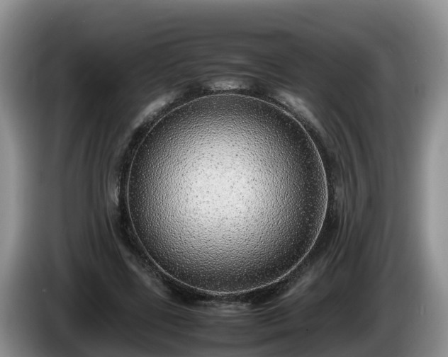 X0000086240539200704051221