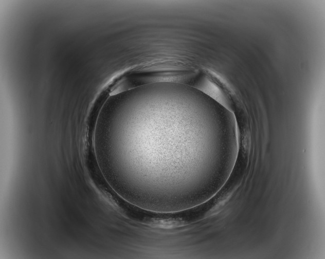X0000086240540200704051221