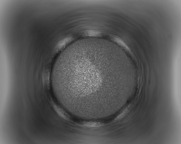 X0000086240542200704051221