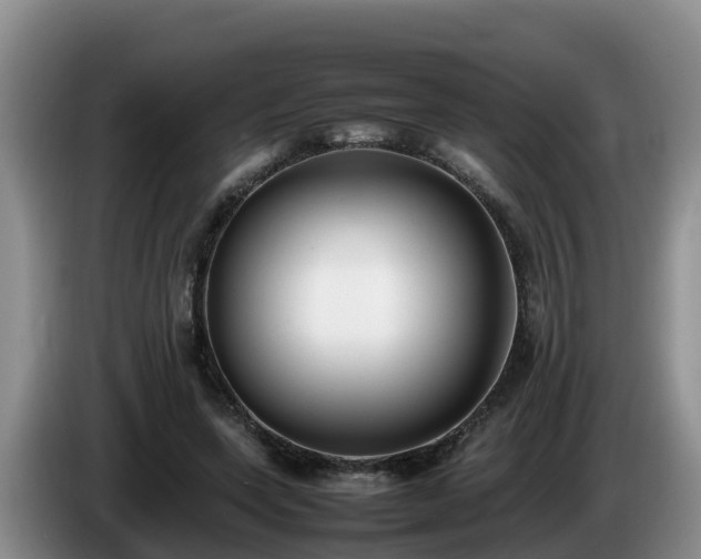 X0000086240543200704051221