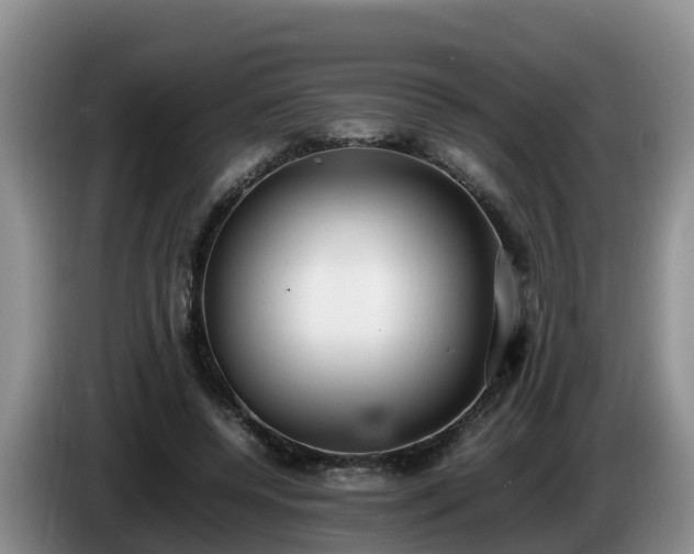 X0000086240544200704051221
