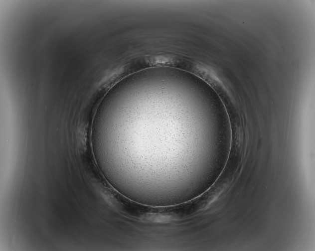 X0000086240545200704051221