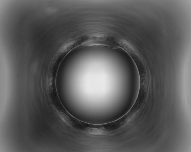X0000086240548200704051221