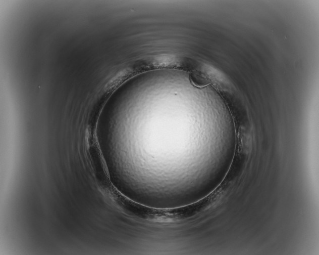 X0000086240550200704051221