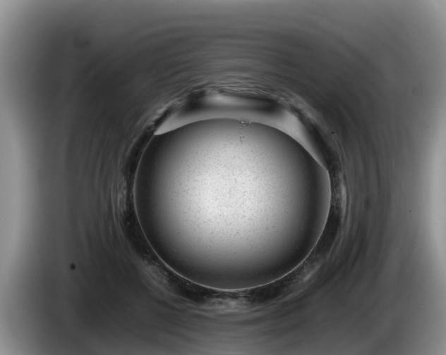 X0000086240552200704051221