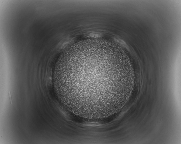X0000086240553200704051221