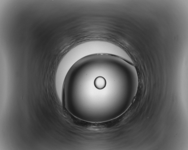 X0000086240556200704051221