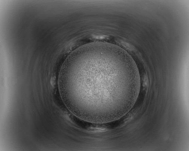 X0000086240559200704051221