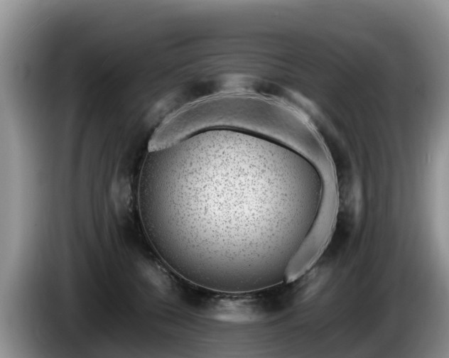 X0000086240560200704051221