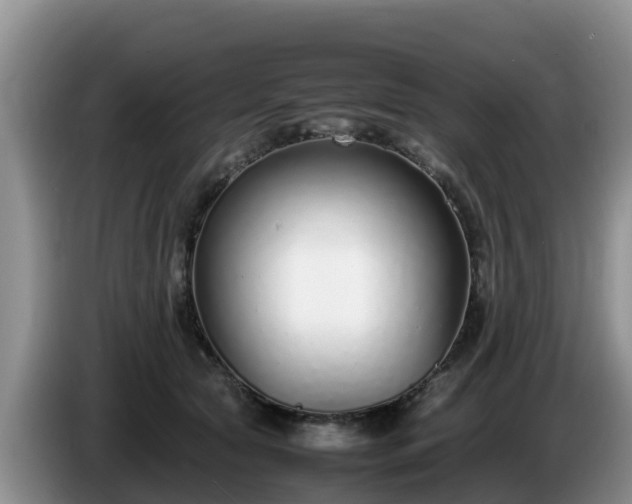 X0000086240561200704051221