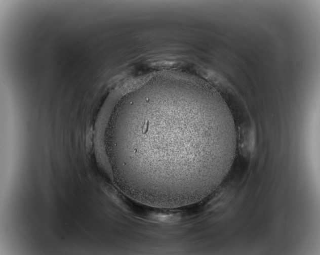 X0000086240563200704051221