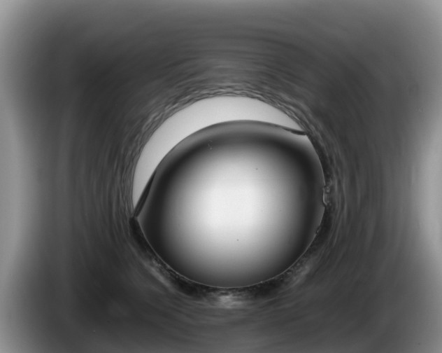 X0000086240564200704051221