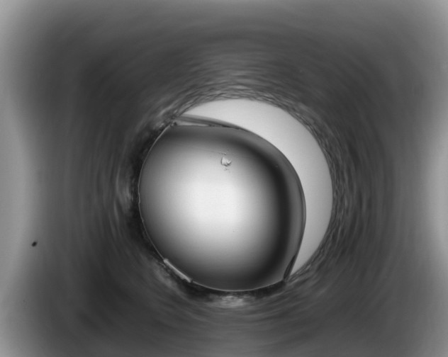 X0000086240566200704051221