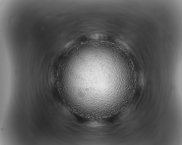 X0000086240569200704051221