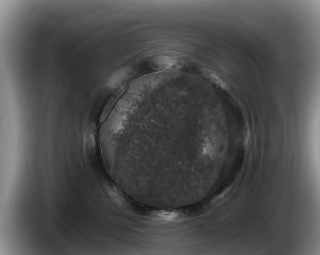 X0000086240570200704051221