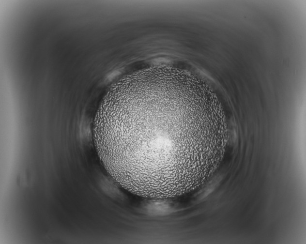 X0000086240573200704051221