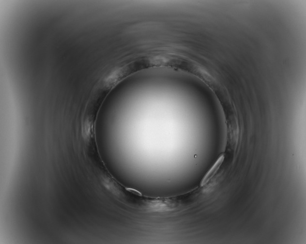 X0000086240574200704051221