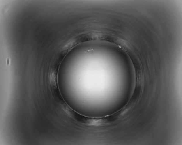 X0000086240575200704051221