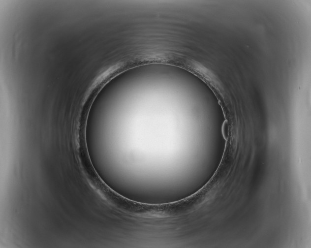 X0000086240578200704051221